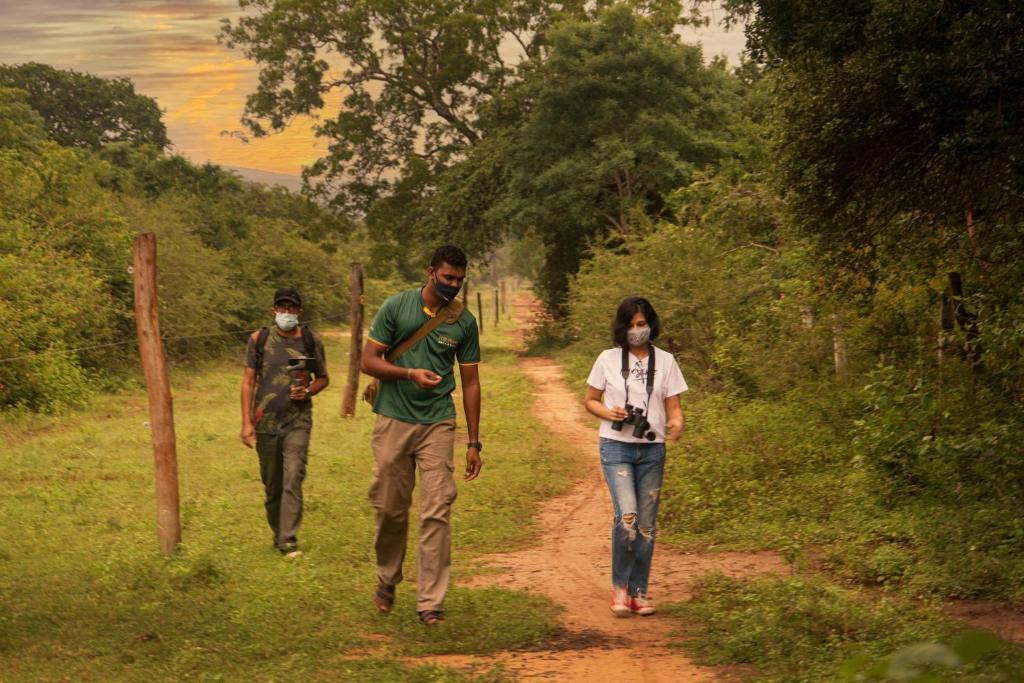 Mahoora Tented Safari Camp - Udawalawe