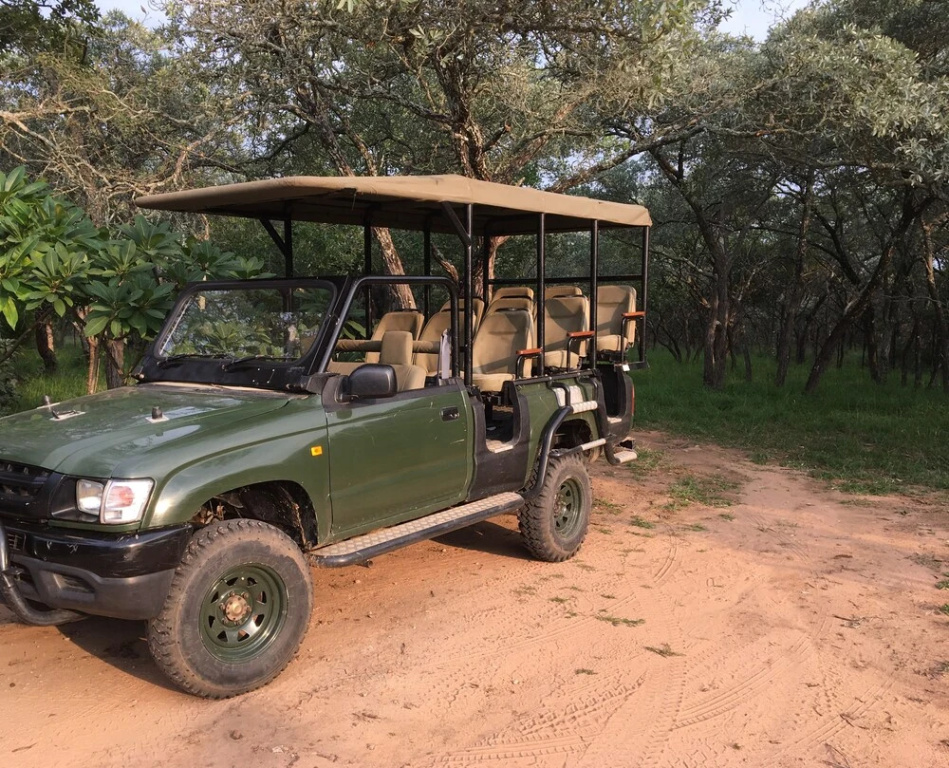 Panzi Lodge
