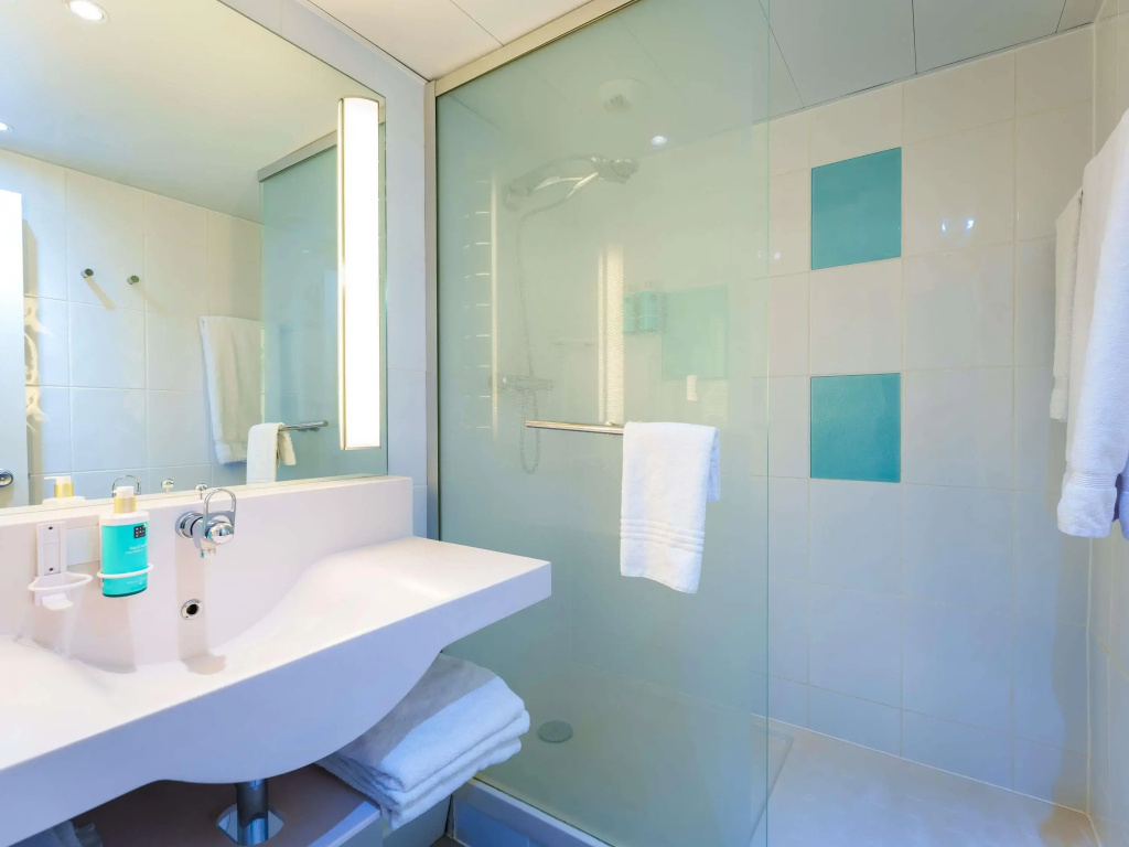 Novotel Mulhouse Bâle Fribourg - Général