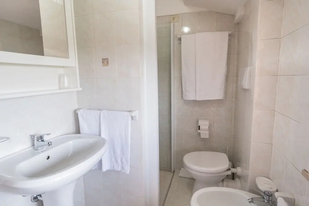 Business Triple room with garden view