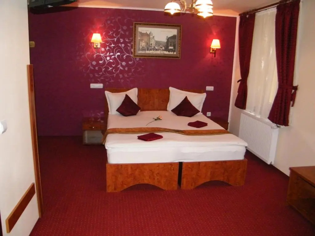 Hotel Pensiune Natural - Chambres