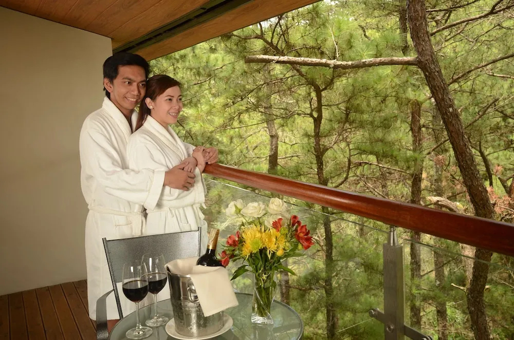 Deluxe room with park view