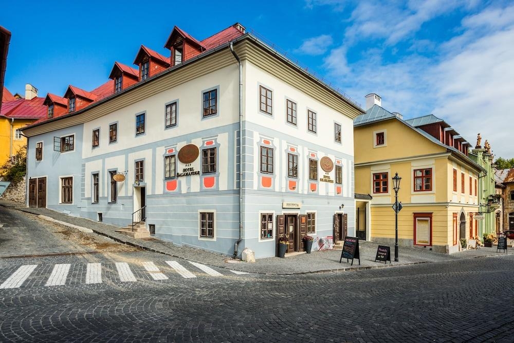 Hotel Salamander