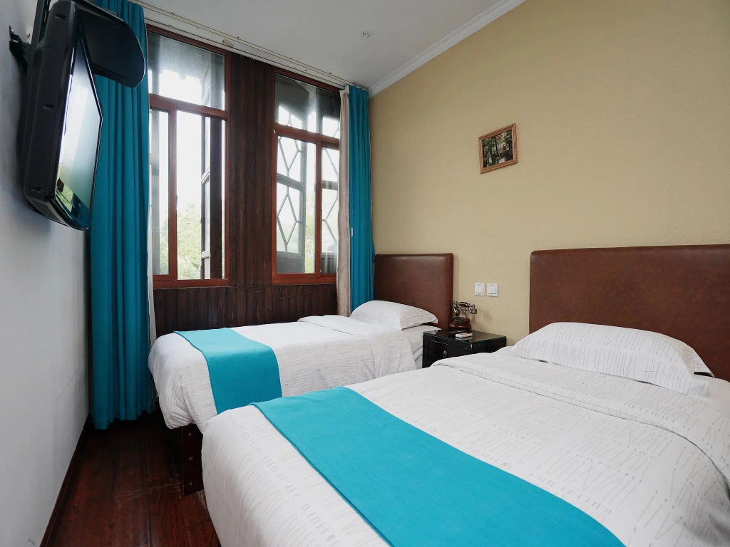 Superior Double room (twin beds)