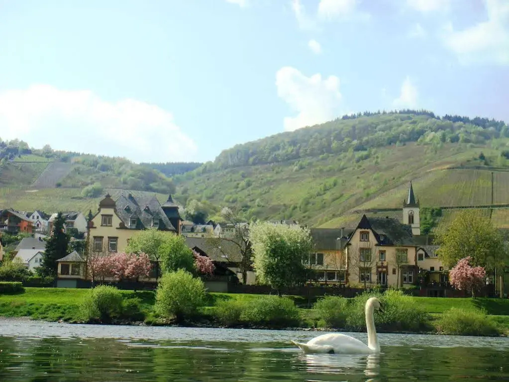 Boutique Hotel Villa Melsheimer - Général
