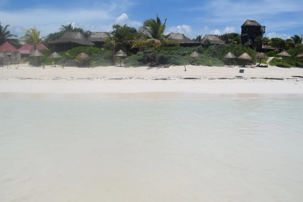 Beach & Waterfront