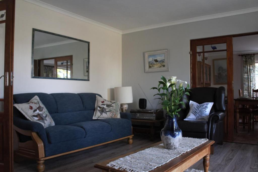 Blue Fern of Knysna