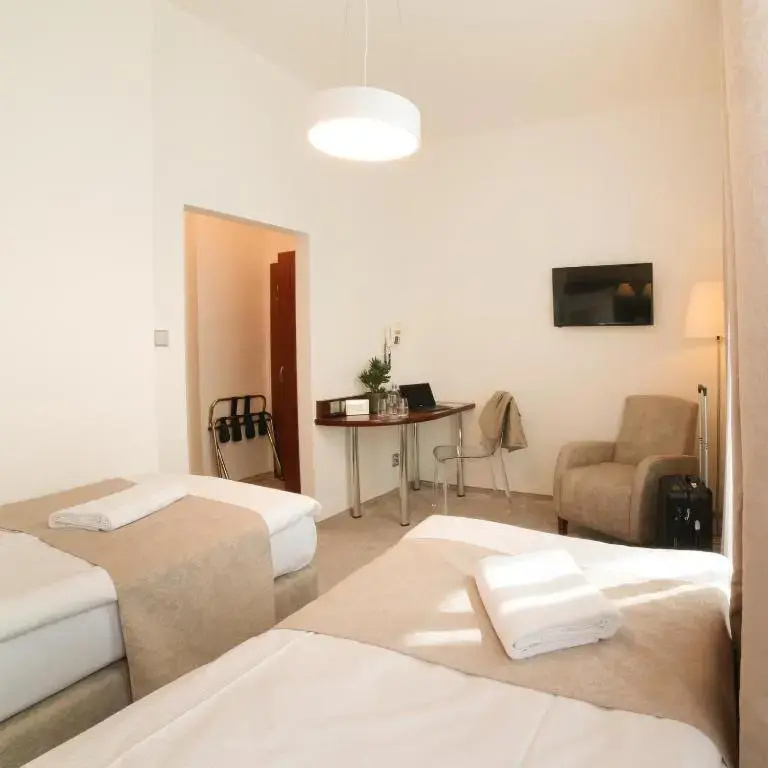 Standard Double room (twin beds)