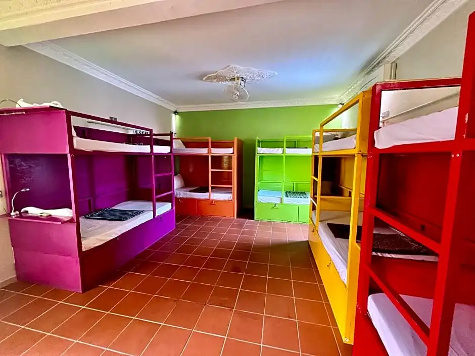 Bed in Dorm