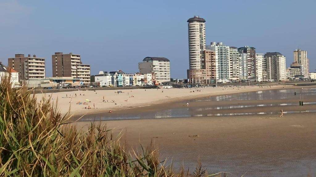 Beach & Waterfront