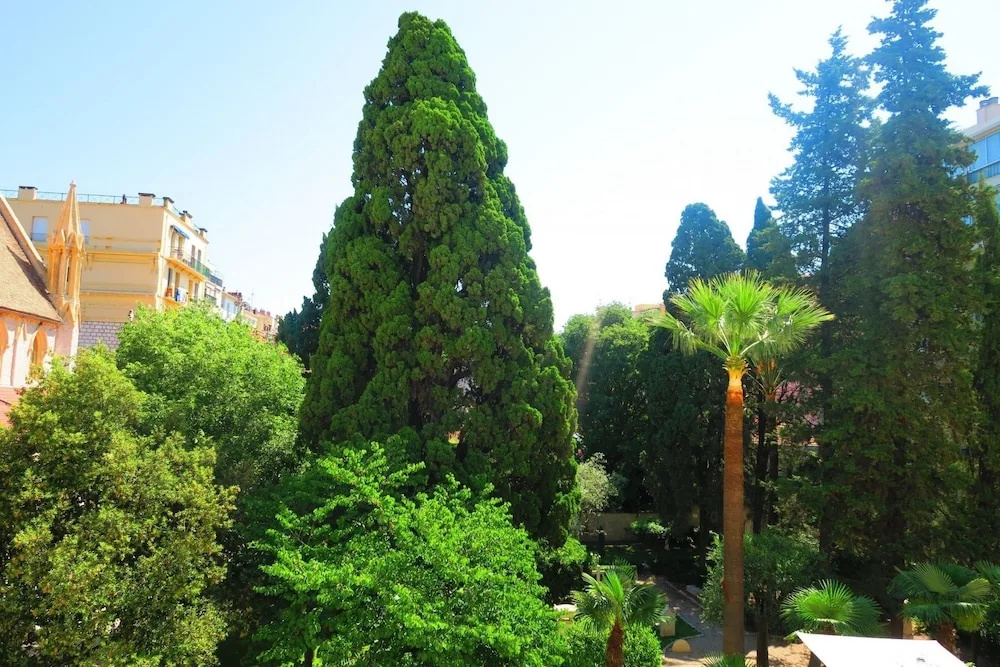 Côté Jardin by Nestor&Jeeves - Général