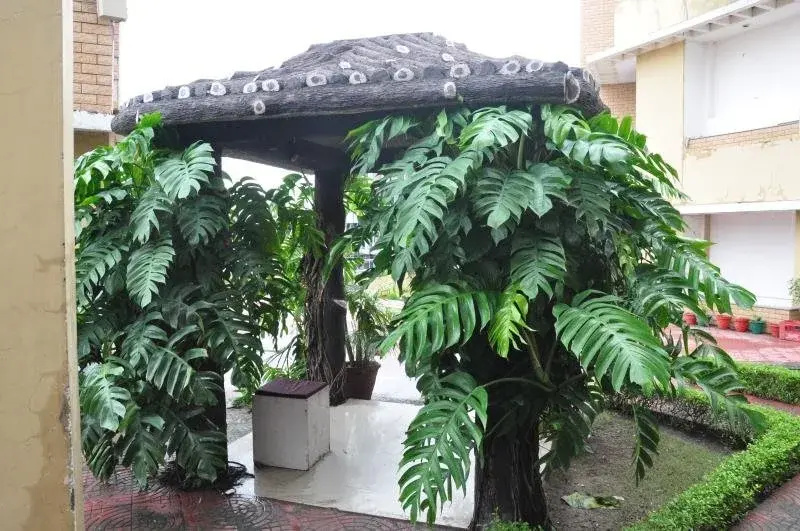 Hotel Pancham Continental - Général