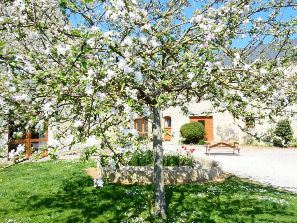 Le Clos de L'Ancien Pressoir