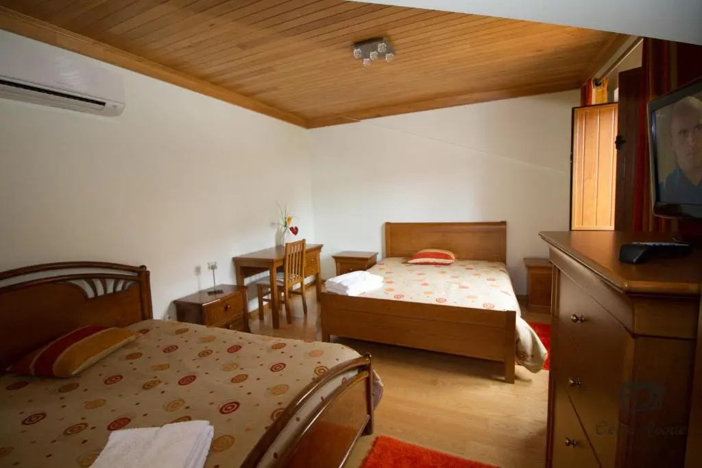 Standard Double Family room (full double bed)