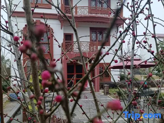 Jinxi Xiangshe Homestay