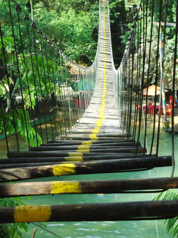 Parque Dos Igarapés