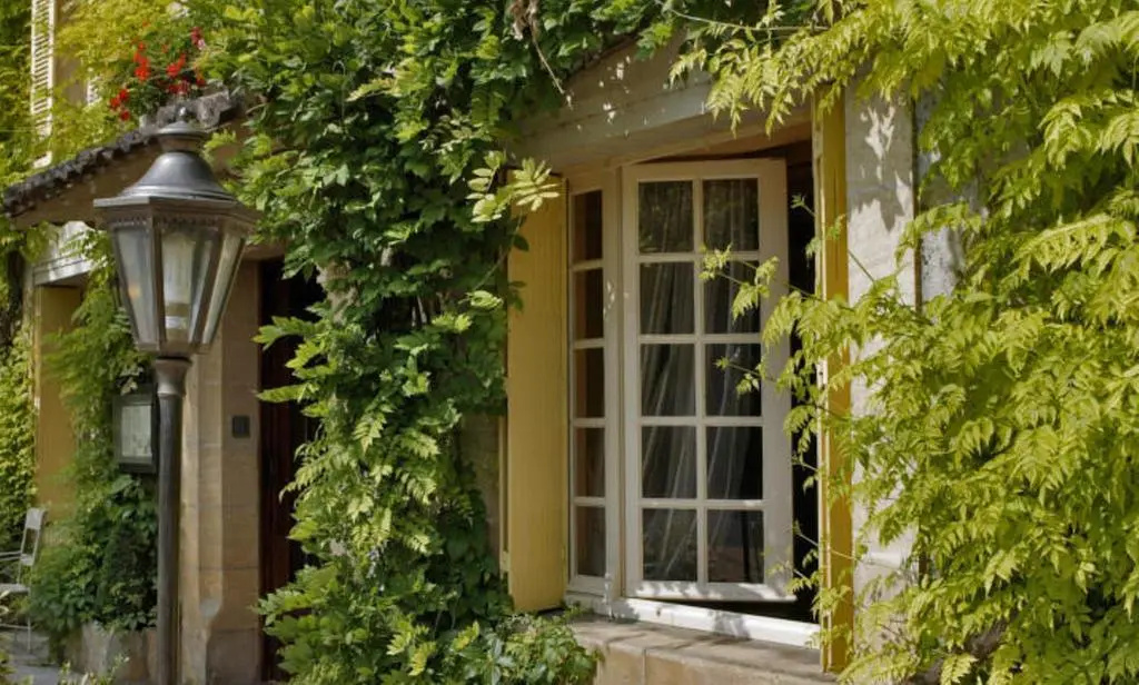 Hôtel Le Cro-Magnon - Général