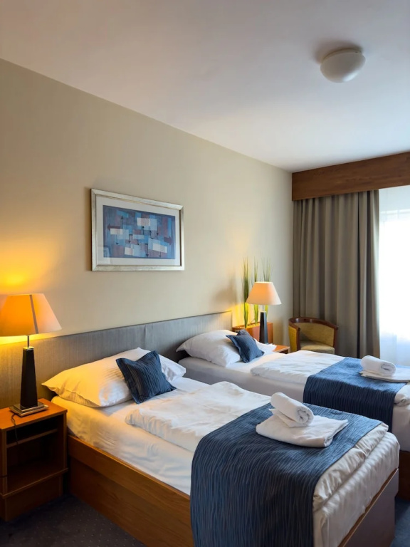 Hotel Theresia Kolín - Chambres