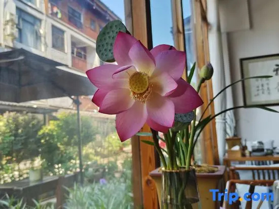 Hanshe Yazhu (Libo Xiaoqikong Shop)