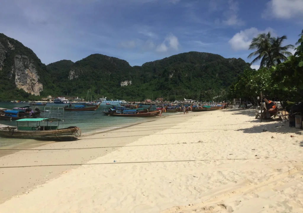 Beach & Waterfront
