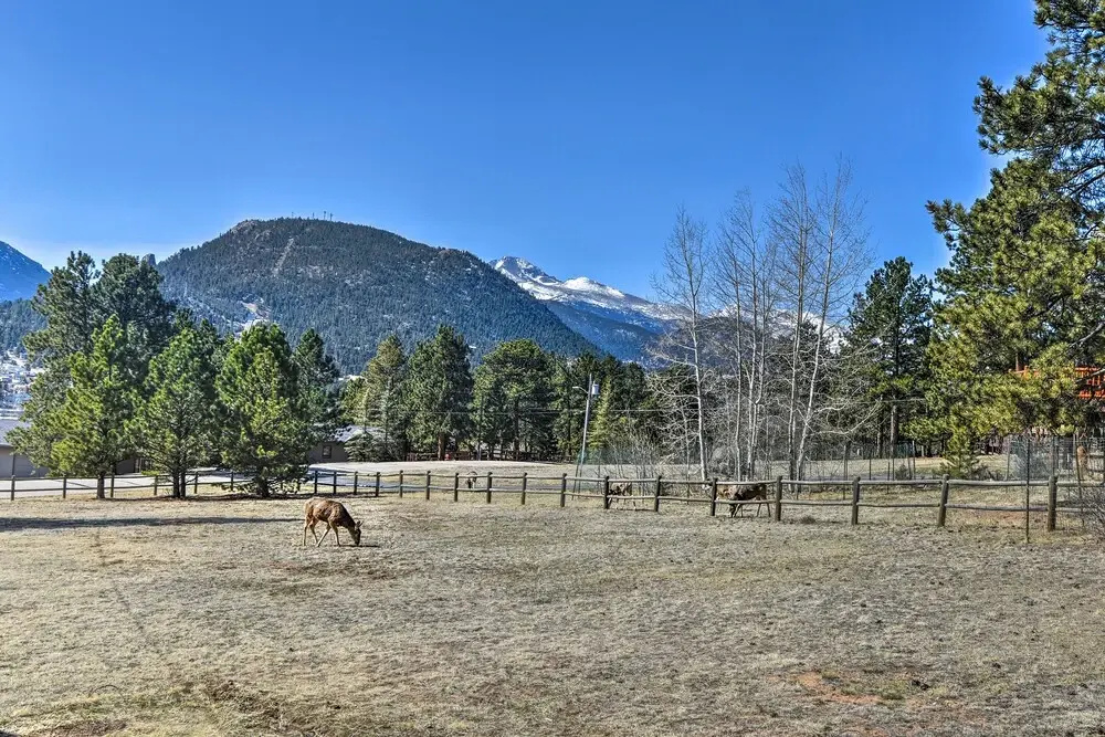 Spacious Colorado Retreat w/ Deck & Mountain Views