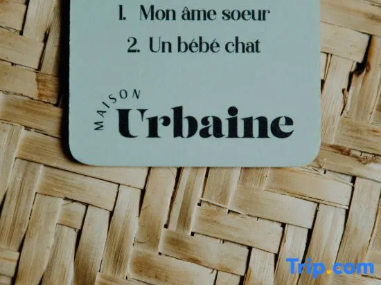 Maison urbaine 44