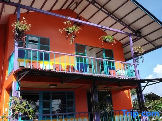 San Miguel Filandia 2