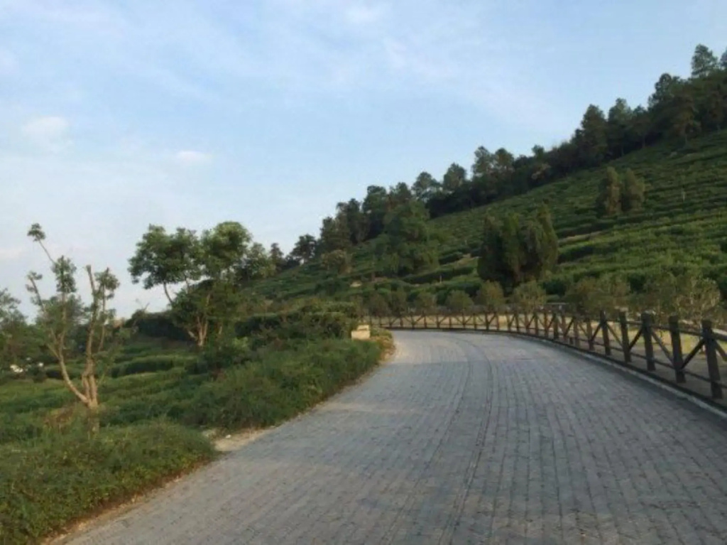 Xianyunshe (Moye) Boutique B&B
