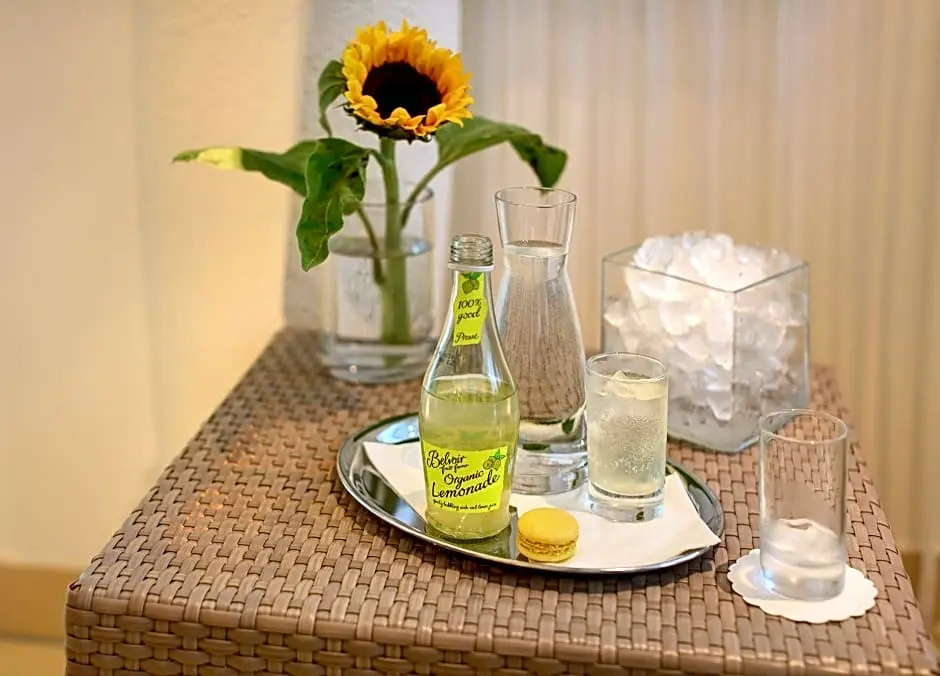 Hotel Schloss Weikersdorf - Chambres