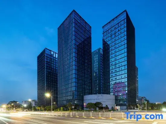 Platinum lnternational Apartemnt Shenzhen Pingshan High Railway Station Baolong Subway