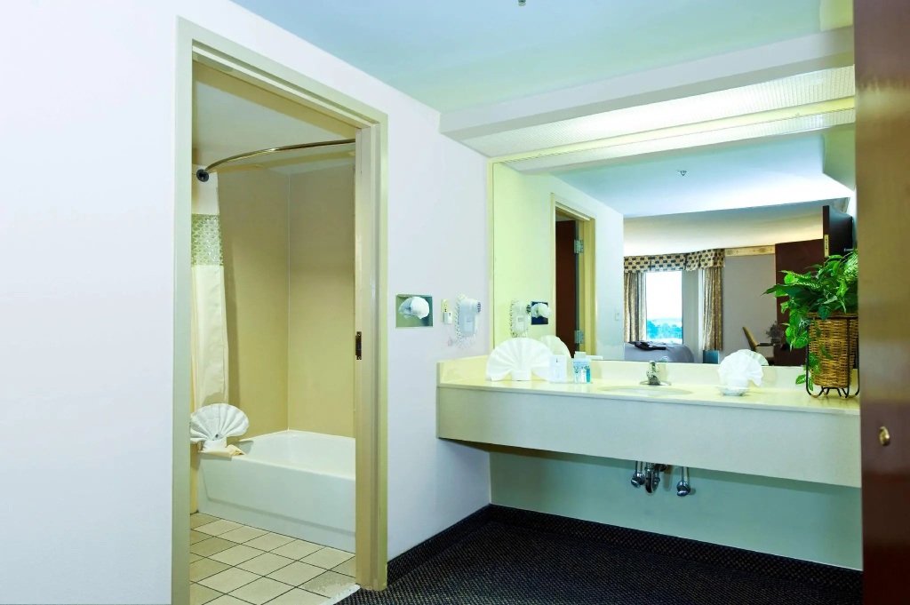 Hampton Inn & Suites Atlanta Airport North I-85 - Chambres