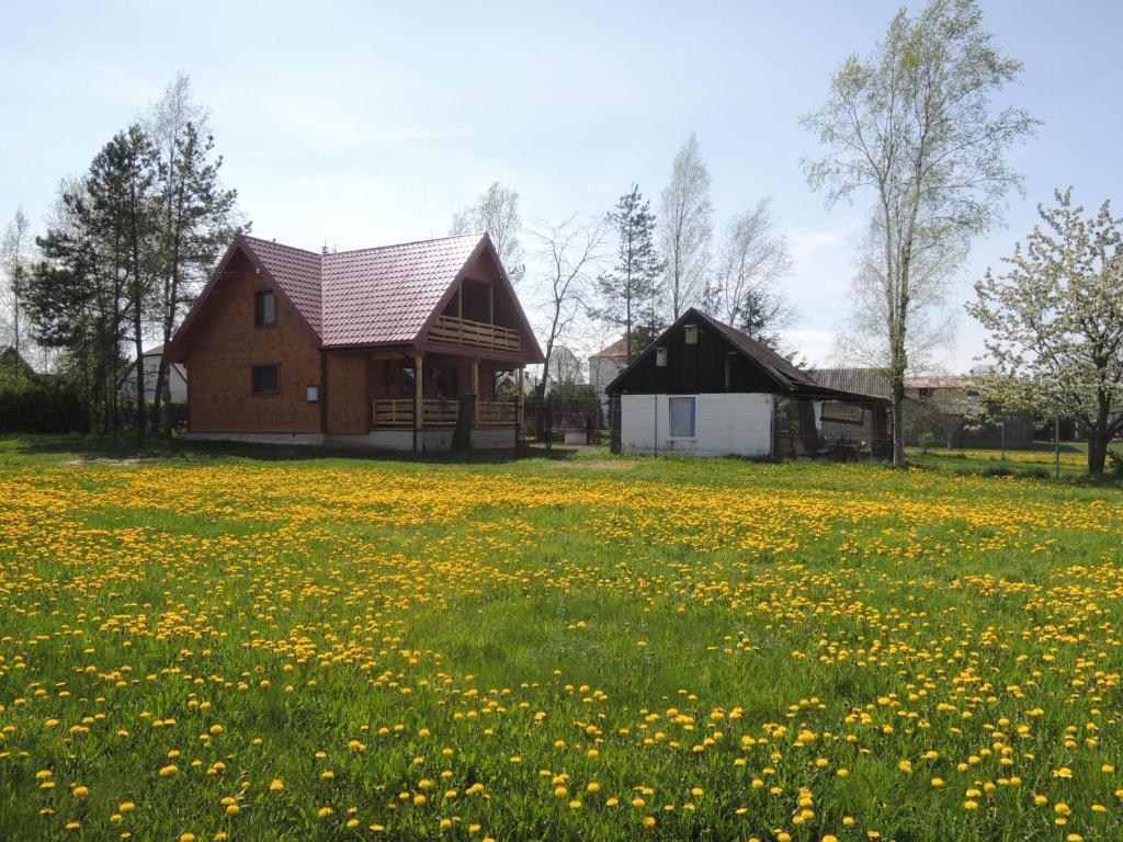 Image 14