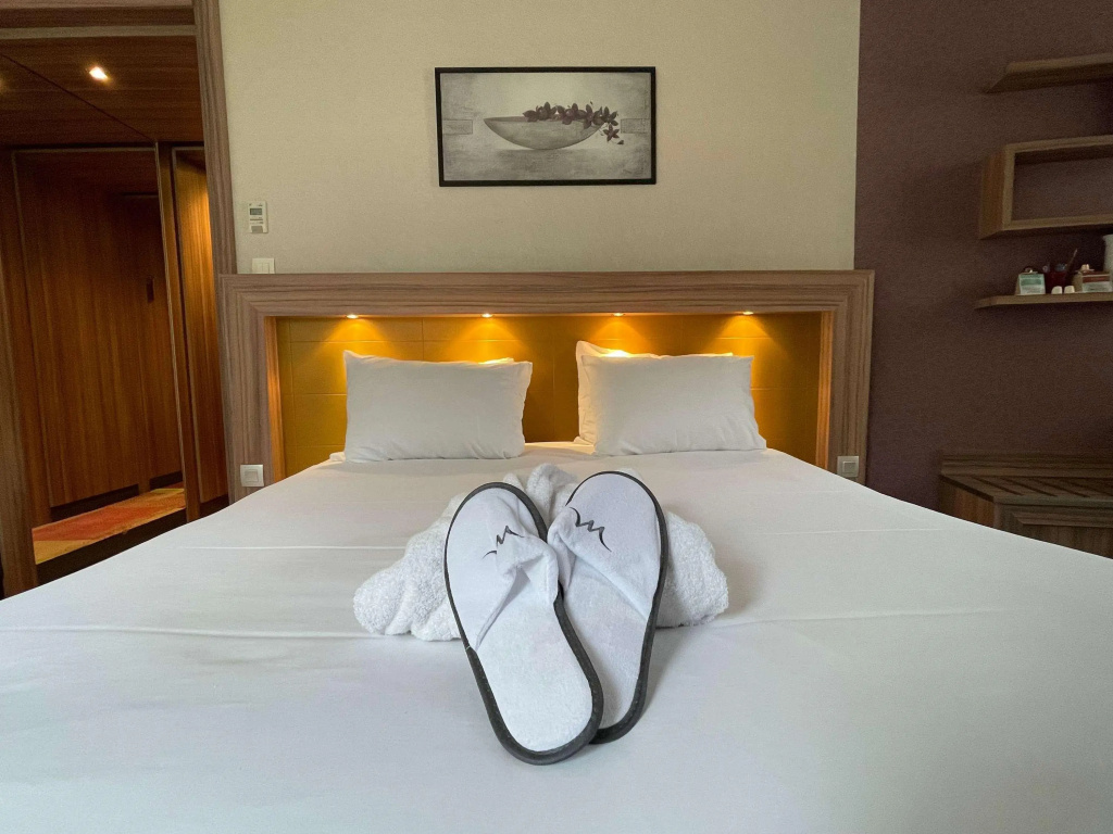 Hotel Mercure Libourne Saint-Emilion - Général