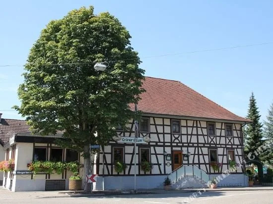 Gasthaus Grner Baum