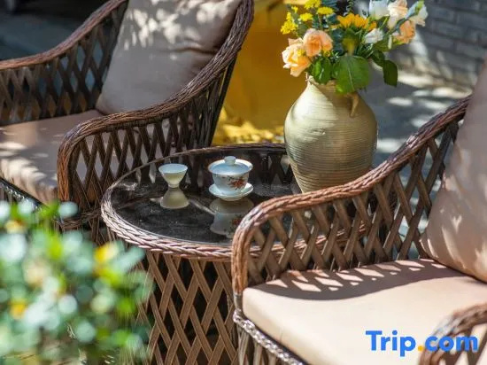 Balcony & Terrace