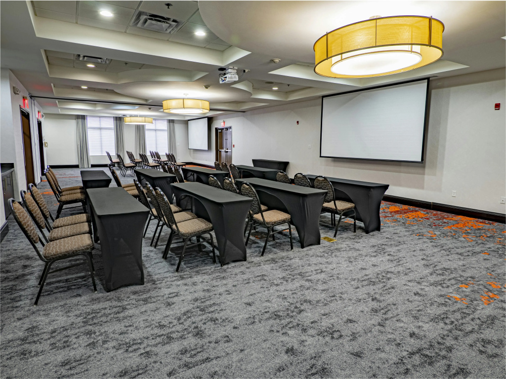 Hilton Garden Inn Atlanta South/McDonough - Général