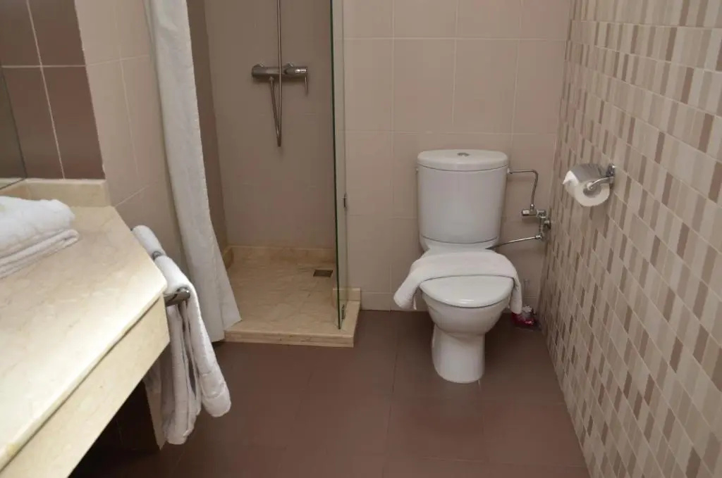 Standard Double room (twin beds)