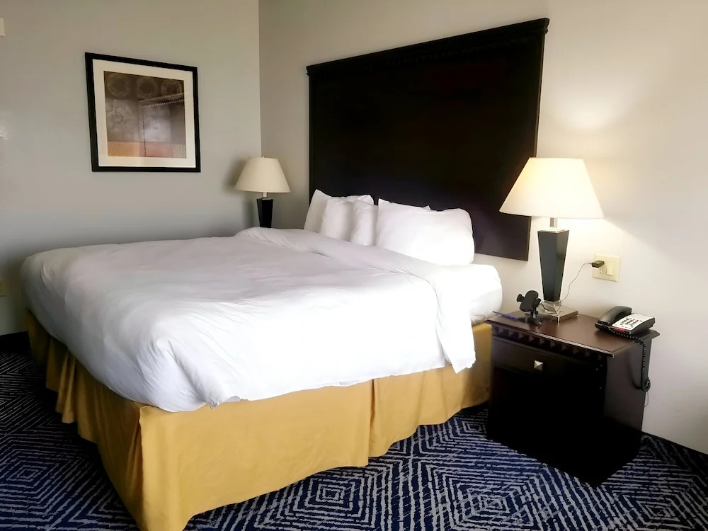 Comfort Inn & Suites Dallas Medical - Market Center - Chambres