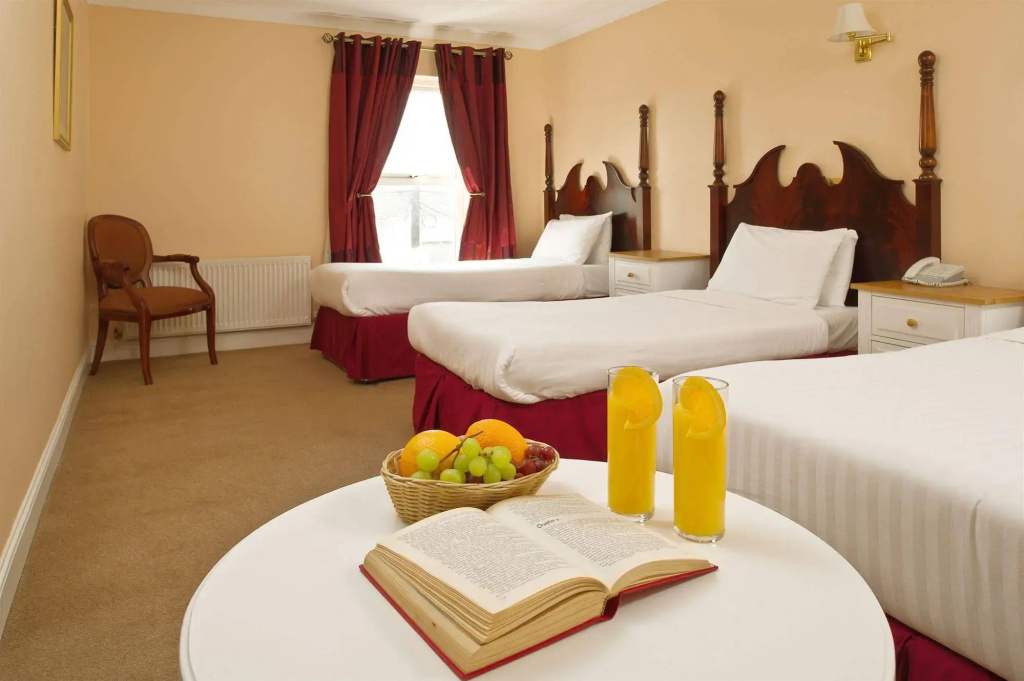 Shamrock Inn Hotel - Général