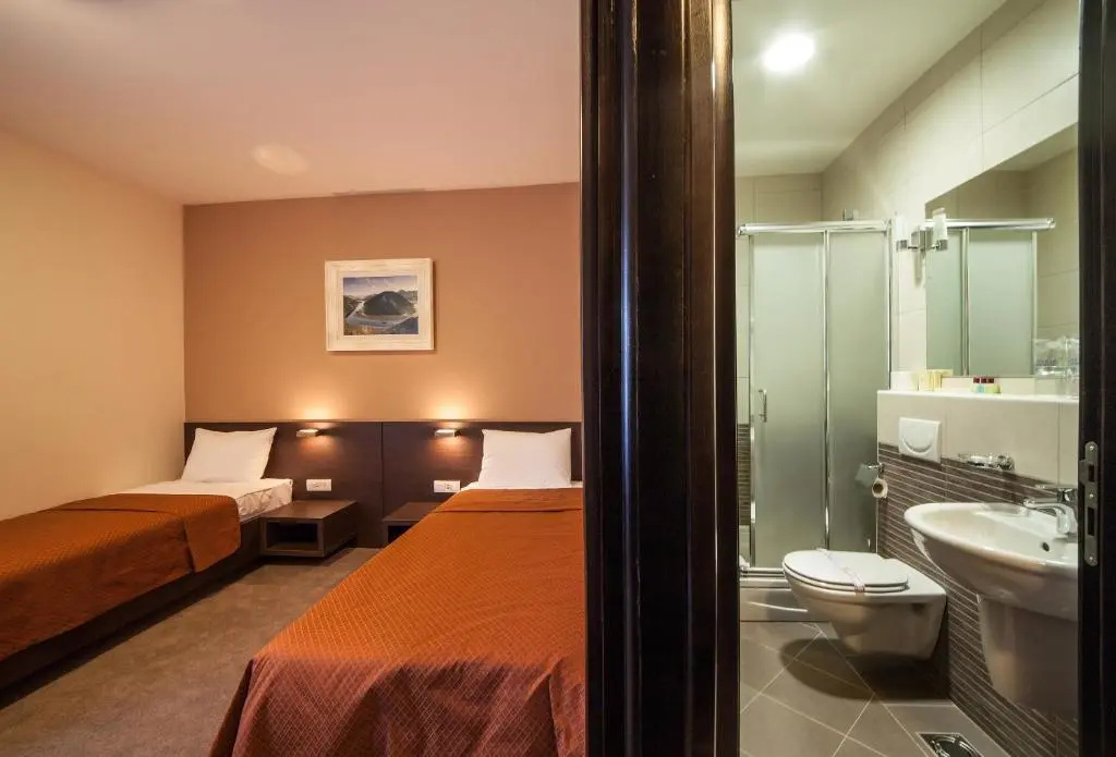 Standard Double room (twin beds)