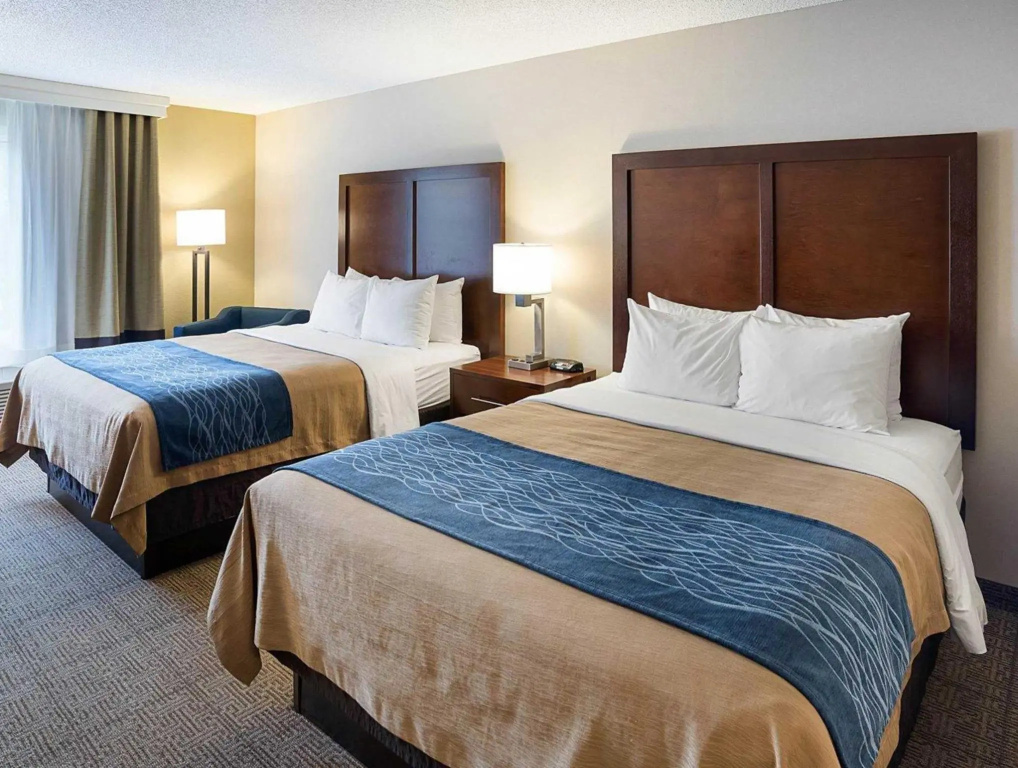 Comfort Inn Duluth West - Chambres
