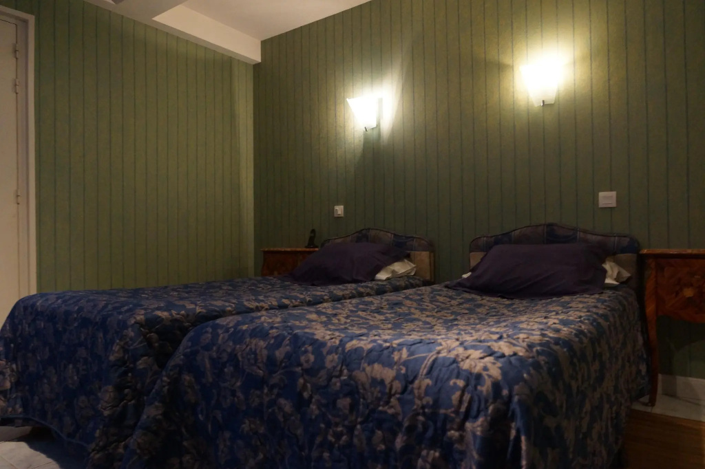 Superior Double room (twin beds)