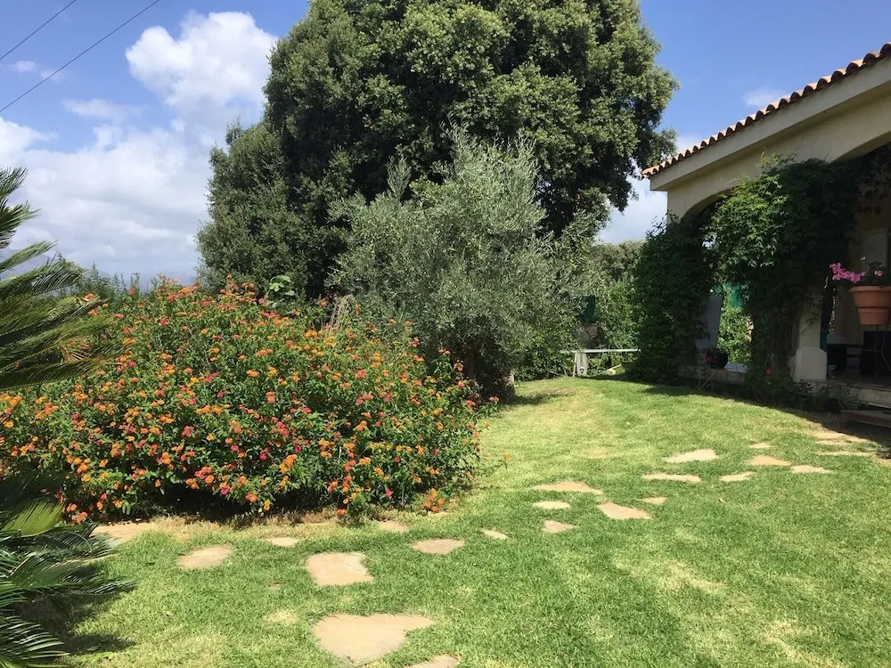 Villa L'Albitru