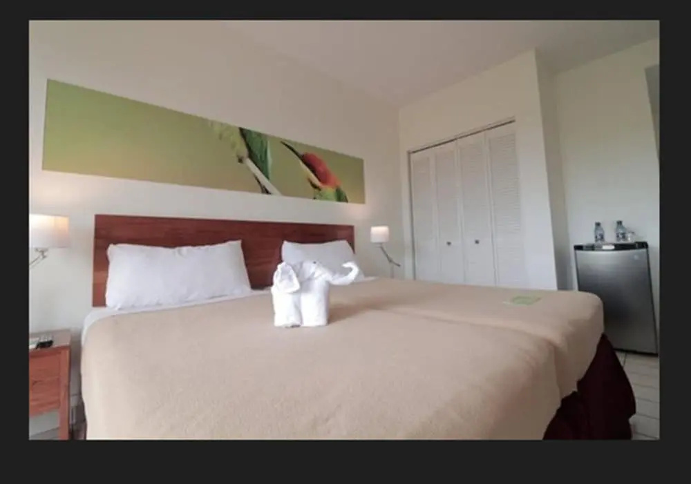 Standard Double room (twin beds)
