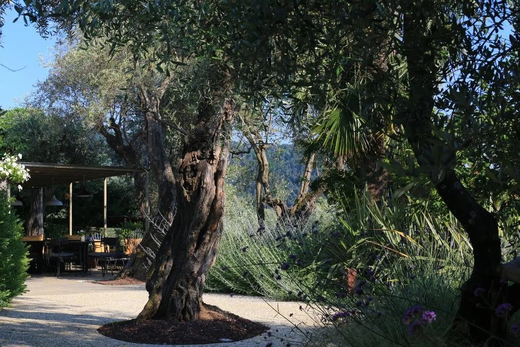 Locanda al Colle - Général