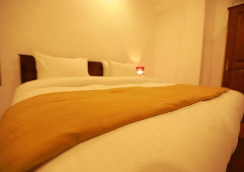 Deluxe Double room with balcony (full double bed)