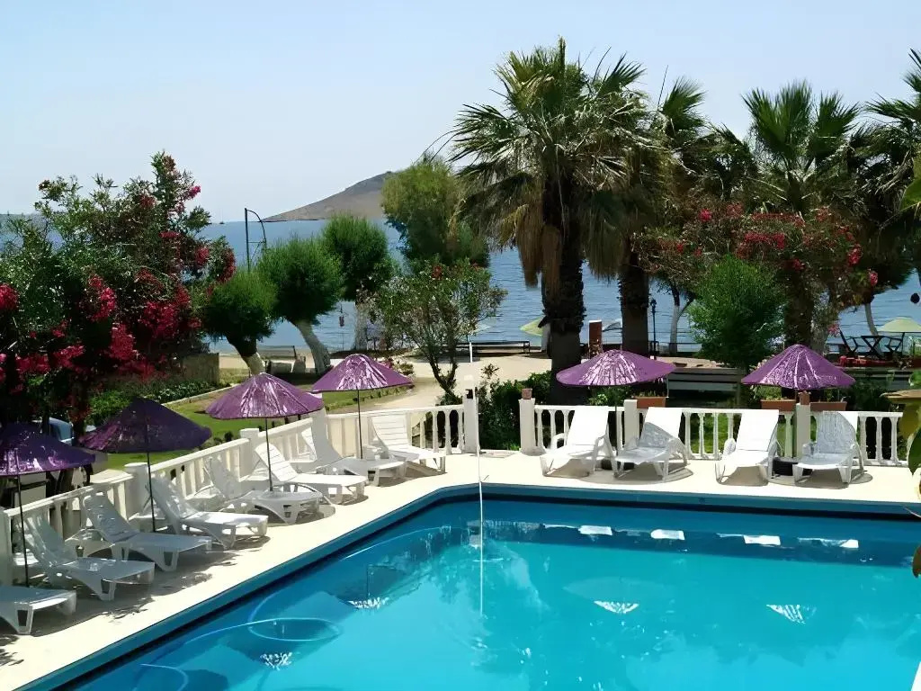 Hotel photo 11