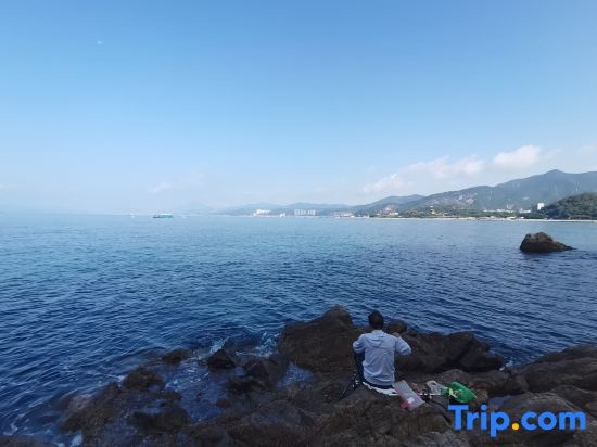 Beach & Waterfront