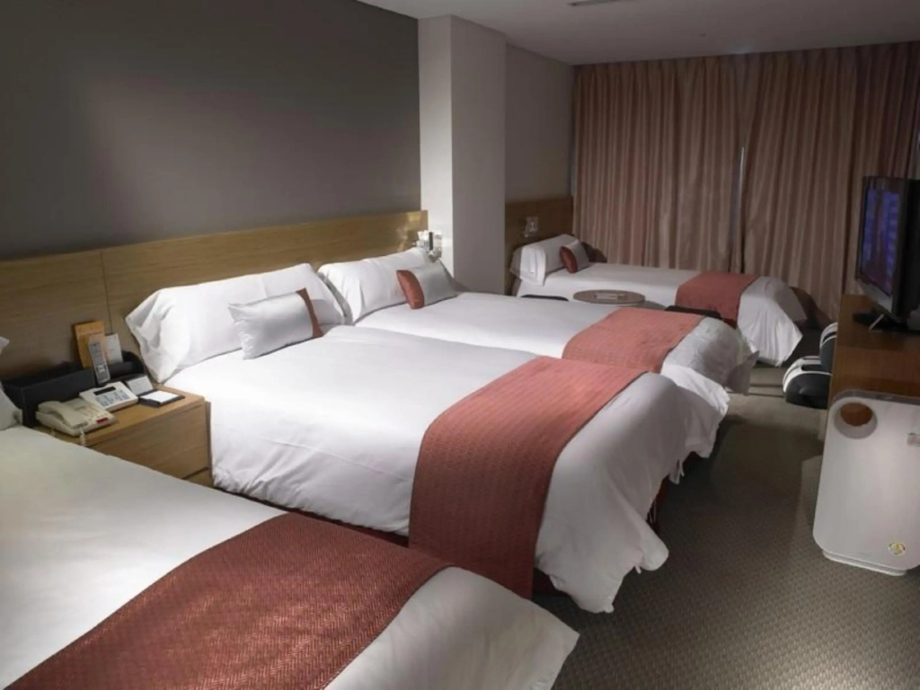 Hotel PJ Myeongdong - Général