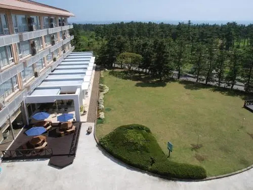Balcony & Terrace